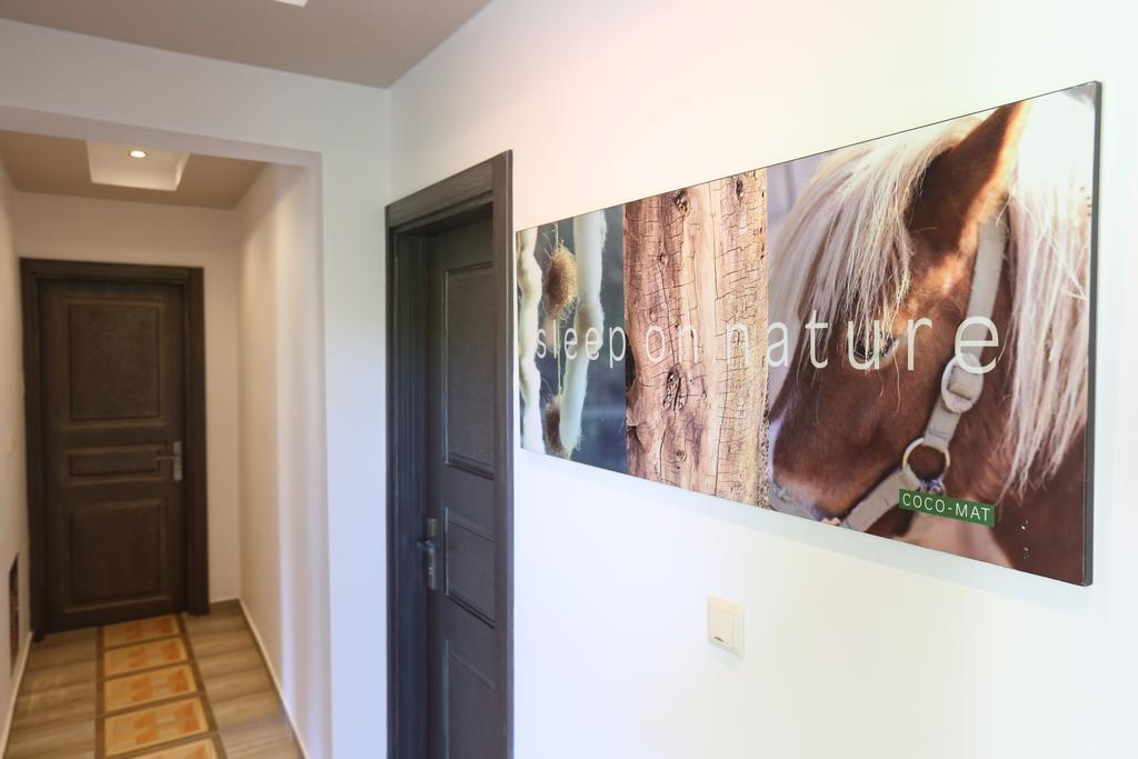 Appartement Irini Patira